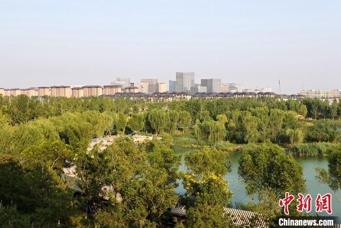 從完成頂層設(shè)計(jì)到如火如荼大規(guī)模建設(shè)，六年來，雄安新區(qū)如春天的竹子一般拔節(jié)生長，這座承載千年大計(jì)的“未來之城”已雄姿初顯。從“一張白紙”開始著墨，如今的雄安新區(qū)已是濃墨重彩的“山水畫”。<a target='_blank' href='/'>中新社</a>記者近日走訪了雄安新區(qū)多地，從“藍(lán)綠金”三色感受這座“未來之城”的巨大變化。圖為7月18日拍攝的河北雄安新區(qū)金湖公園。 <a target='_blank' href='/'>中新社</a>記者 易海菲 攝