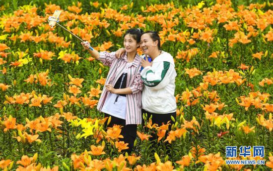 (社會)(4)黑龍江伊春:消夏旅游熱