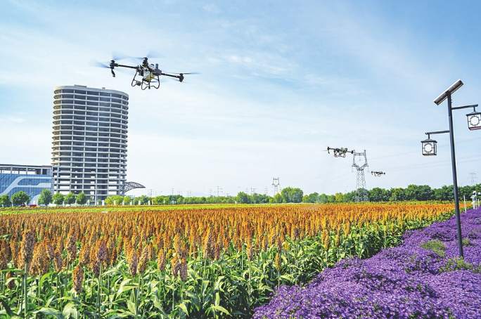 1711435601269434.png?x-oss-process=style/w10 dbc87ca892eefe5dfab0927a4b931b6.png?x-oss-process=style/w10