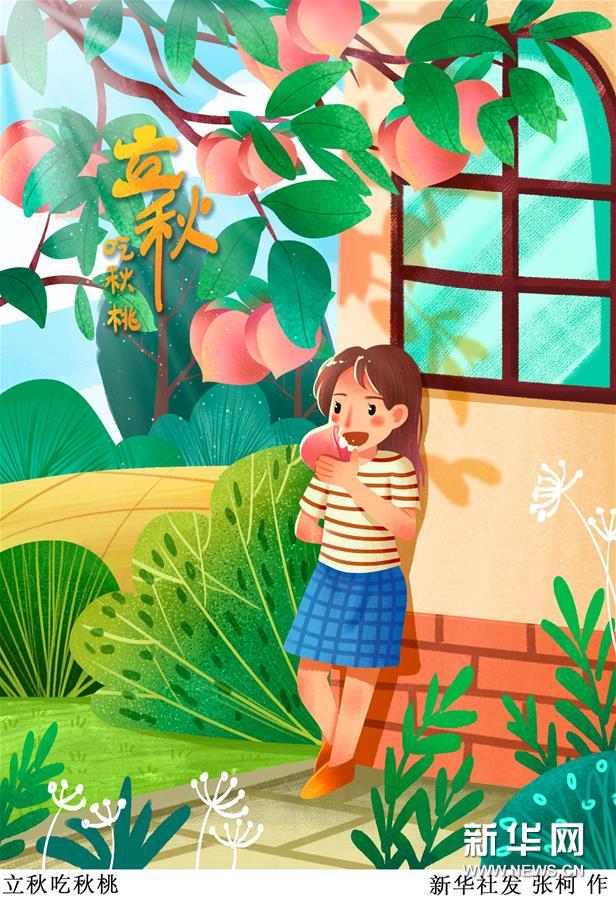 （圖表·插畫）［二十四節(jié)氣·立秋］立秋吃秋桃